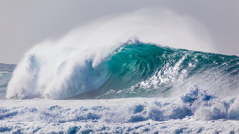 Hugh Wave In Hawaii