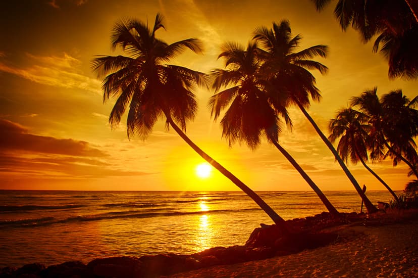 Beautiful sunset over the sea with a view at palms on the white