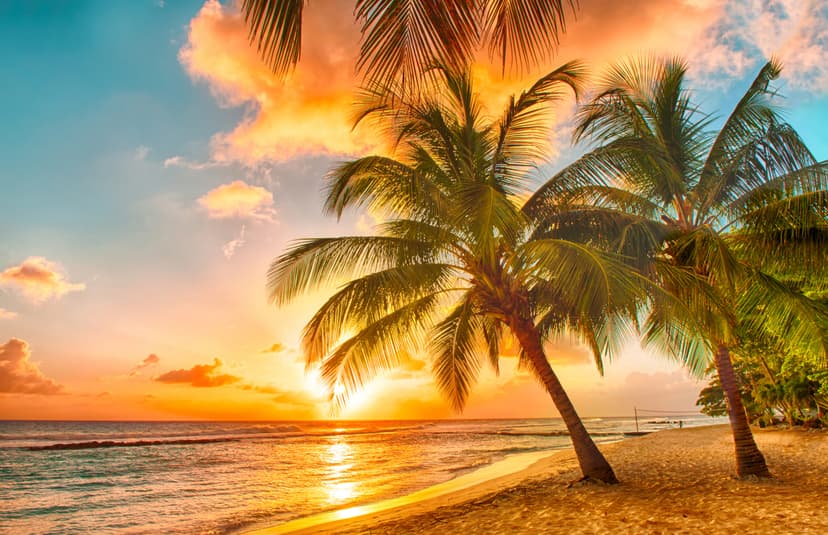 Beautiful sunset over the sea with a view at palms on the white