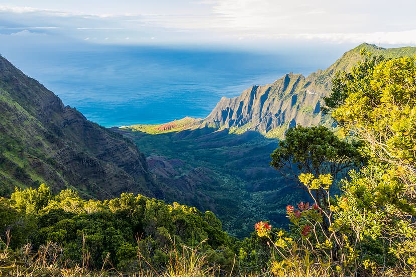 View Of Na Pali Coast From The Kalalau Lookout At Kokee State Pa